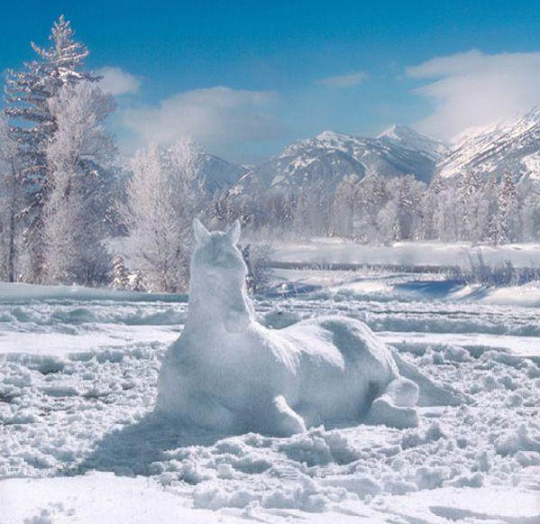 snow_horse.jpg